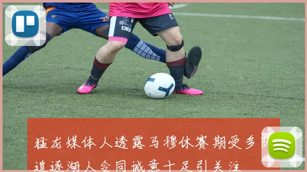 猛龙媒体人透露马穆休赛期受多队追逐湖人合同诚意十足引关注